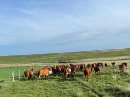 Río Negro inicia negociaciones con BID por crédito de 80 millones de dólares para riego en miles de hectáreas. Río Negro inicia negociaciones con BID por crédito de 80 millones de dólares para riego en miles de hectáreas.