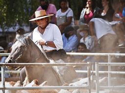 La exposición se realizará del 23 al 26 de enero en Junín de los Andes. Foto: gentileza SRN. La exposición se realizará del 23 al 26 de enero en Junín de los Andes. Foto: gentileza SRN.