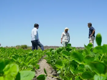 el campo frente a un coctel explosivo: clima, politica y economia