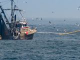 pesca.jpg