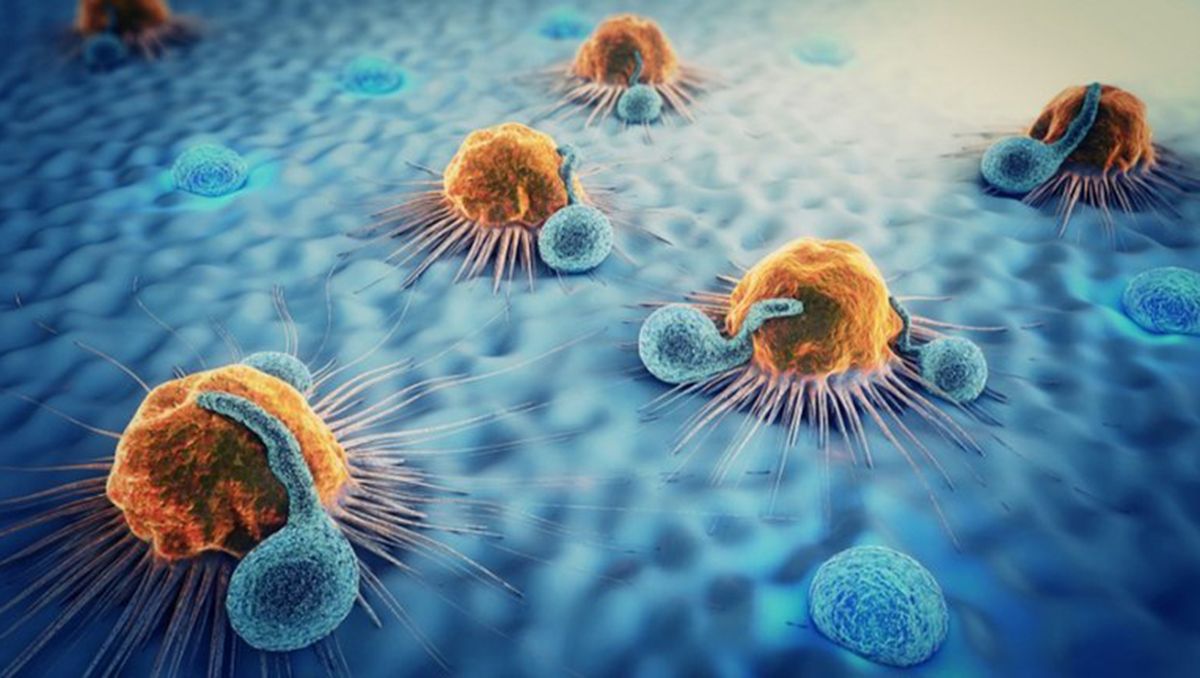 Cáncer: nuevo tratamiento logró eliminar los tumores
