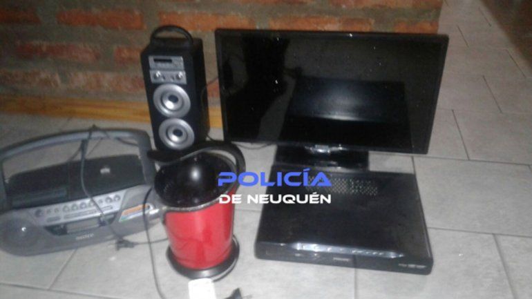 Una leona: golpeó a un ladrón en la cabeza con un palo de hockey