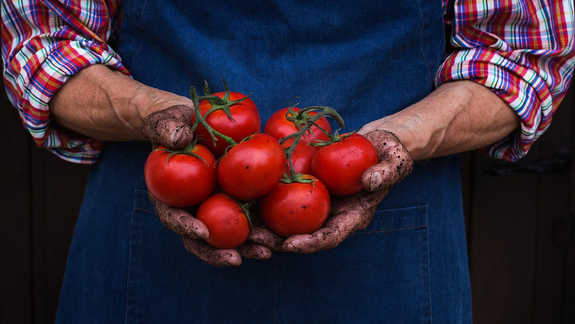 La agricultura ecológica es un método de cultivo que busca el equilibrio entre la producción de alimentos y la conservación del medioambiente. Foto: BBVA