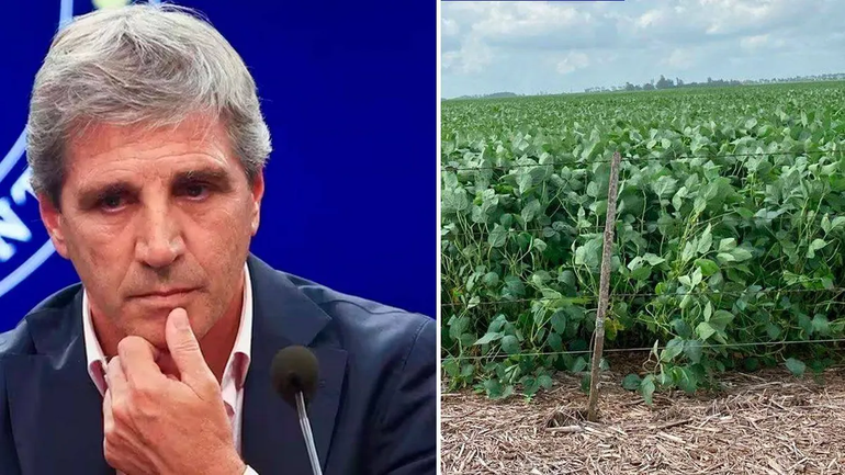 Luis Caputo anunció medidas para favorecer al agro: ¿Cuáles son?