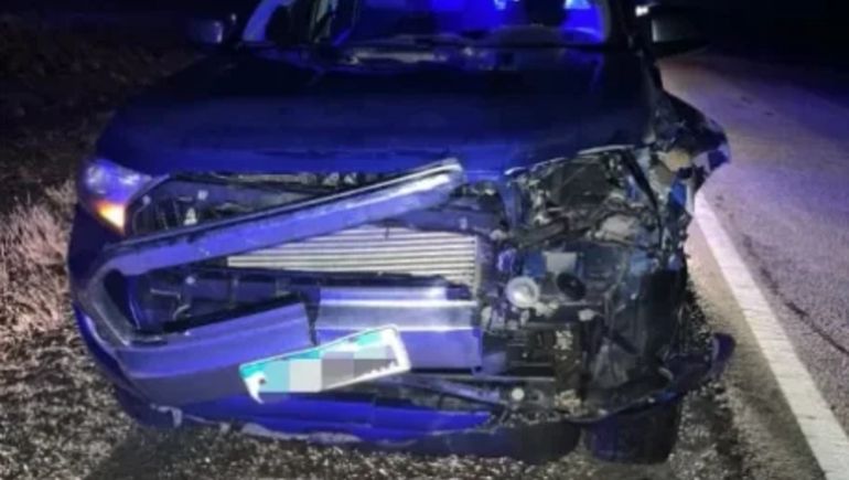 Atropelló un guanaco en la Ruta 3 | LM Neuquen Atropelló un guanaco en la Ruta 3