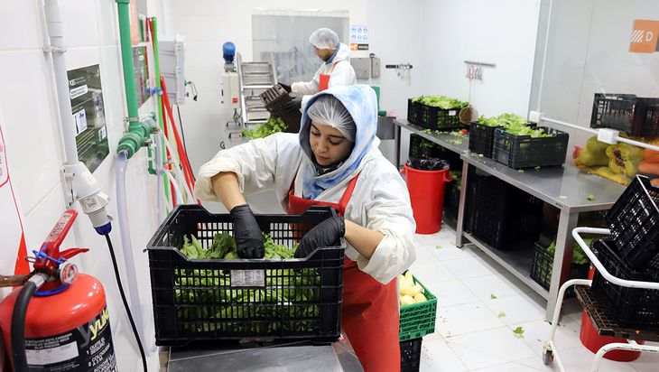 Elaboran 1 tonelada de productos por día, cuentan con una flota de vehículos para transportar productos, tres equipos de frío y un plantel de 15 empleados.