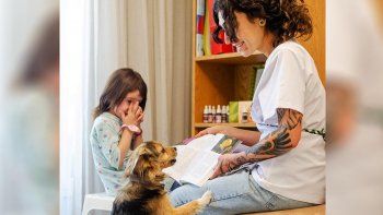 la terapia de flores que salva a los animales de la pirotecnia la terapia de flores que salva a los animales de la pirotecnia