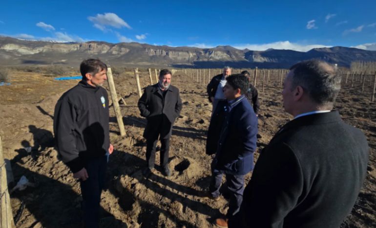 El gobernador Claudio Vidal, en una recorrida por los futuros viñedos de Santa Cruz. El gobernador Claudio Vidal, en una recorrida por los futuros viñedos de Santa Cruz.