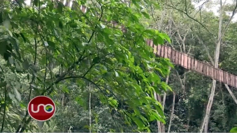 Once muertos y 14 heridos tras romperse un puente colgante