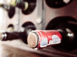 Tapones vs. Corcho: La elección entre tapones técnicos y corchos naturales impacta la evolución y variación de los vinos embotellados. Tapones vs. Corcho: La elección entre tapones técnicos y corchos naturales impacta la evolución y variación de los vinos embotellados.