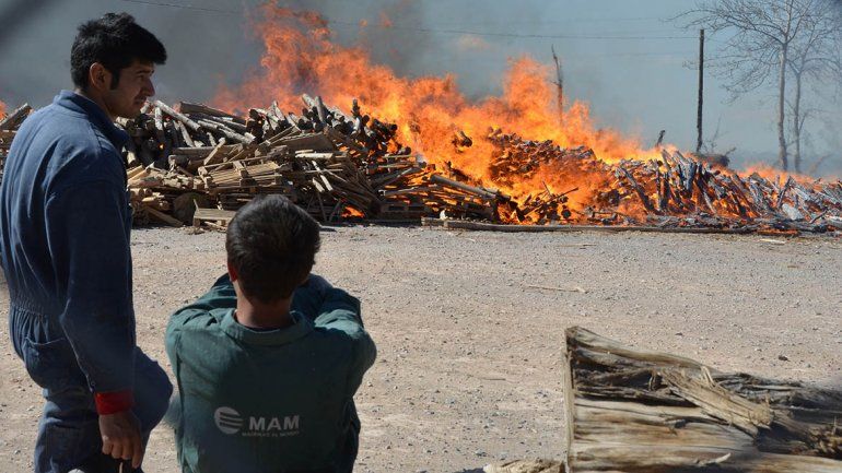 Hubo alarma por un impresionante incendio en la maderera MAM