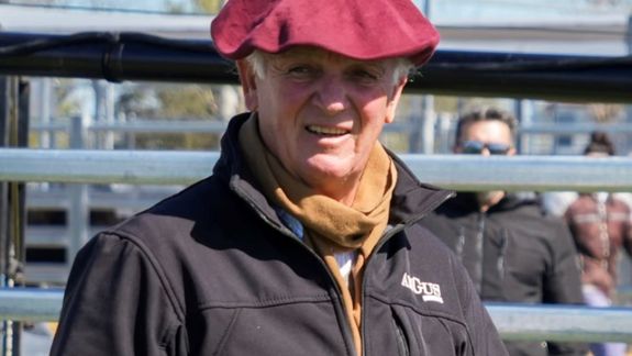 Negocio de la carne: muy buena la foto