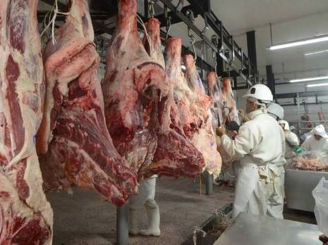La actividad frigorífica regional acumuló una caída del 2% interanual y quedó más de 13.600 cabezas por debajo del máximo registrado en 2024.