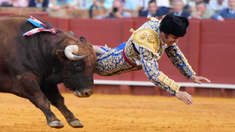 En el video se ve cómo el animal lo arrolló y lo lanzó al suelo antes de atacarlo nuevamente.