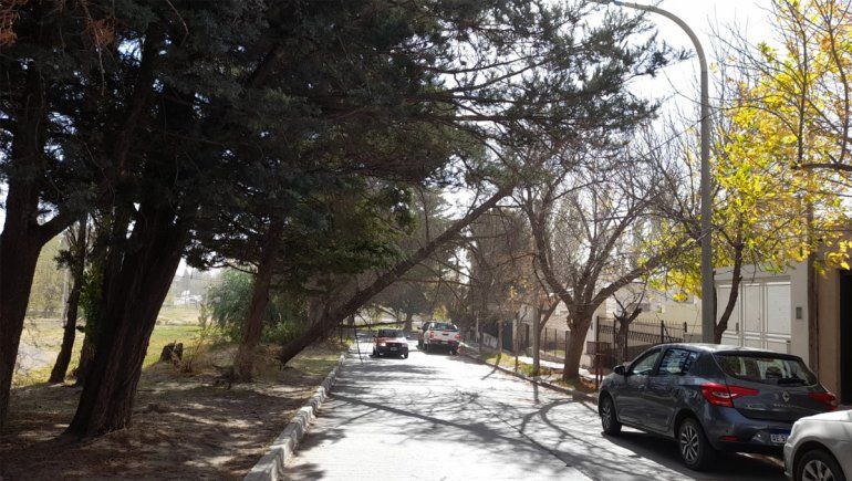 Las ráfagas de viento llegaron a 90 kilómetros en Neuquén