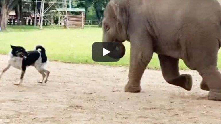 Este par no deja de sumar reproducciones en YouTube