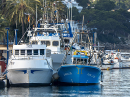 Flota pesquera en el Puerto de Andratx (Mallorca). Foto: EFE Flota pesquera en el Puerto de Andratx (Mallorca). Foto: EFE