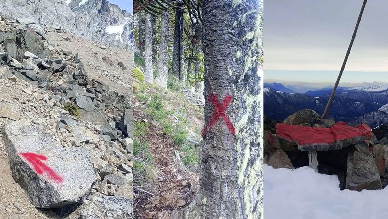 Inaceptable, bronca por pintadas en araucarias y piedras en un cerro de Villa Pehuenia
