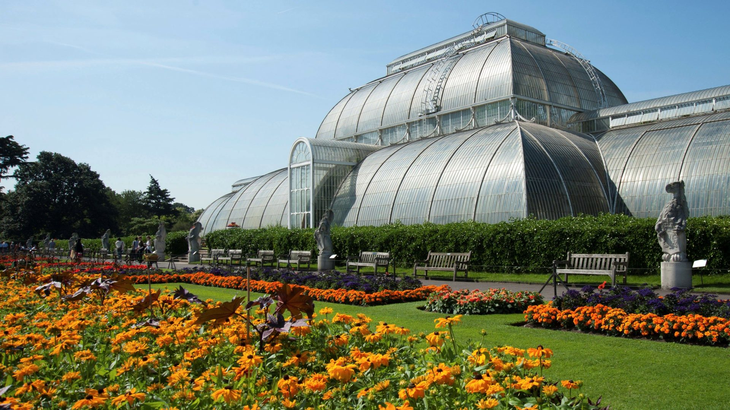 En Kew Gardens, los jardines Patrimonio de la Humanidad, se habla de la alimentación del futuro. En Kew Gardens, los jardines Patrimonio de la Humanidad, se habla de la alimentación del futuro.