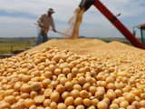 El crédito agrícola en dólares marcó un récord histórico: USD 3.028 millones, según la serie del BCRA a julio de 2025.
