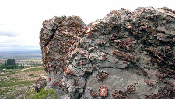 Imágenes del Museo Virtual de Fósiles Patagónicos, publicadas en el portal Más Neuquén.