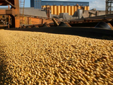 Las exportaciones de productos primarios crecieron 32% en los primeros cinco meses de 2026.