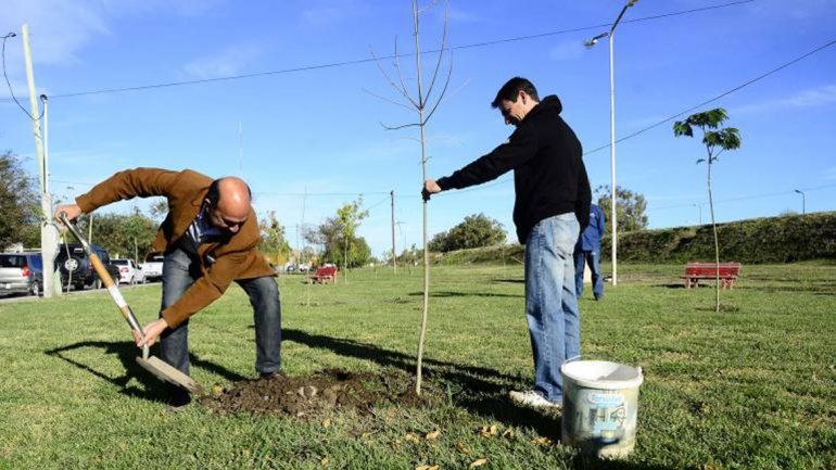 Se plantó un árbol en homenaje al nieto recuperado 122