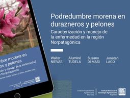 El material está disponible de forma digital. El material está disponible de forma digital.