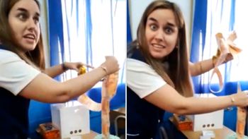 emocionante: alumnos sorprendieron a su maestra con una torta de billetes emocionante: alumnos sorprendieron a su maestra con una torta de billetes