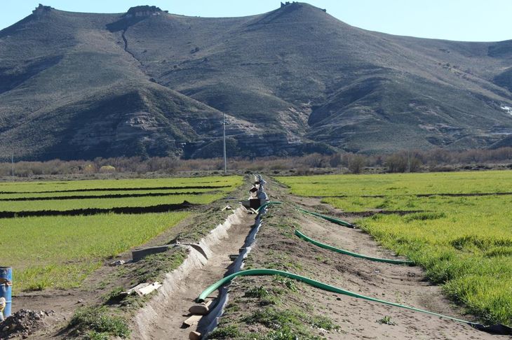 En octubre comenzaron a verse los brotes verdes. Foto: gentileza Miguel de Larminat. En octubre comenzaron a verse los brotes verdes. Foto: gentileza Miguel de Larminat.