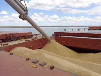 Se estima que las exportaciones de granos crecerán un 3%, totalizando 56,3 millones de toneladas.