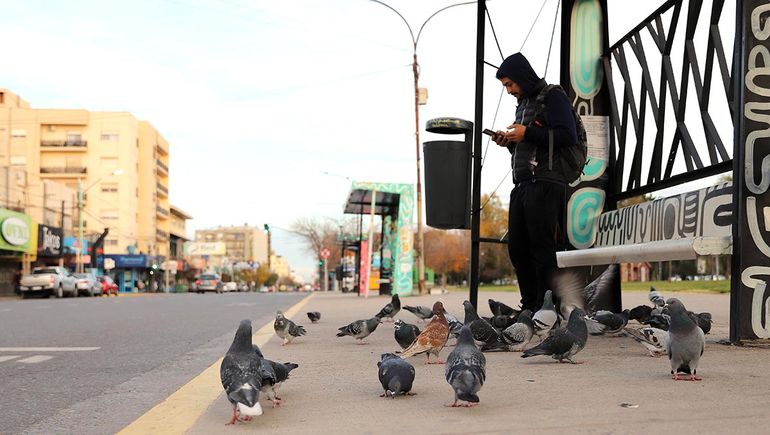 El paro de UTA afecta a miles de pasajeros en Neuquén / Foto