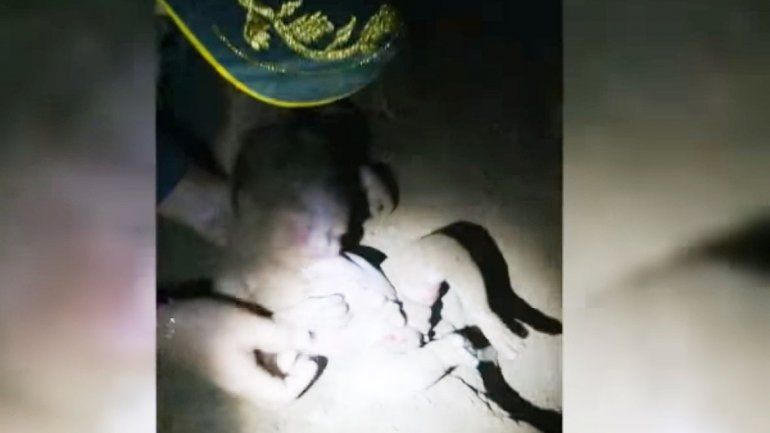 Una bebé fue rescatada con vida luego de estar enterrada seis horas