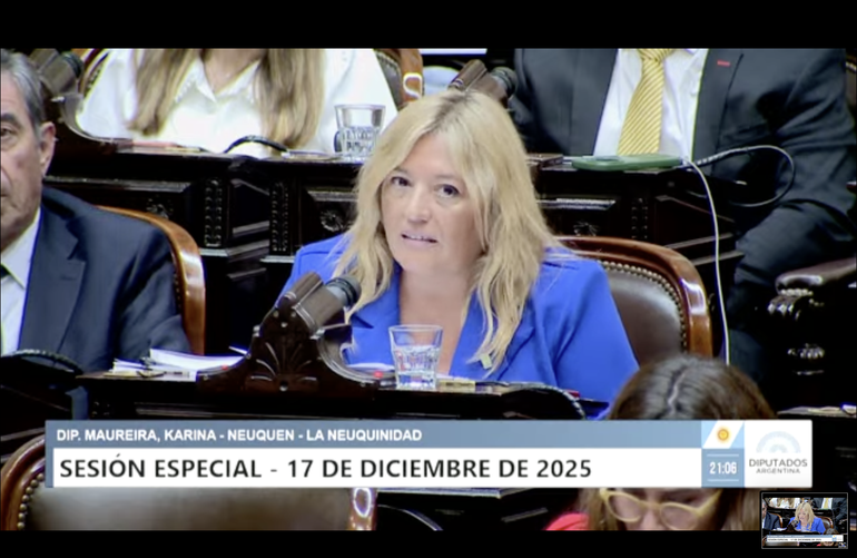 Presupuesto 2026: la primera intervención de Karina Maureira como diputada y el anticipo de su voto