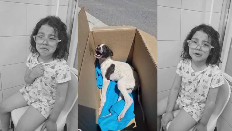 El llanto de Pili que conmovió a Neuquén y un video que exige decir basta al maltrato animal