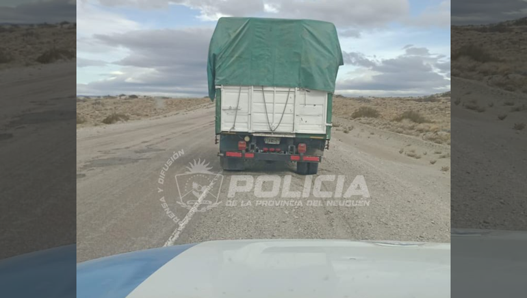 El camión del que se secuestró a seis caballos no tenía permiso para transportar animales.
