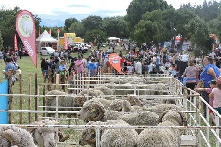 Se espera buen clima para esta fiesta campera. Se espera buen clima para esta fiesta campera.