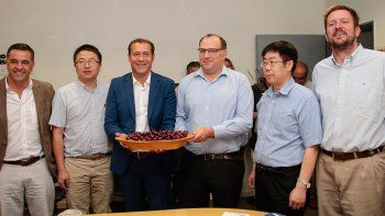 las cerezas neuquinas ya partieron rumbo a china
