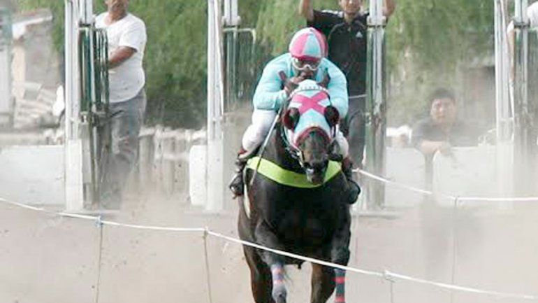 Castel Bamba viene de correr&nbsp;en Vista Alegre y es contra.