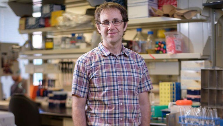 Recuperan 13 de las 200 secuencias del COVID borradas