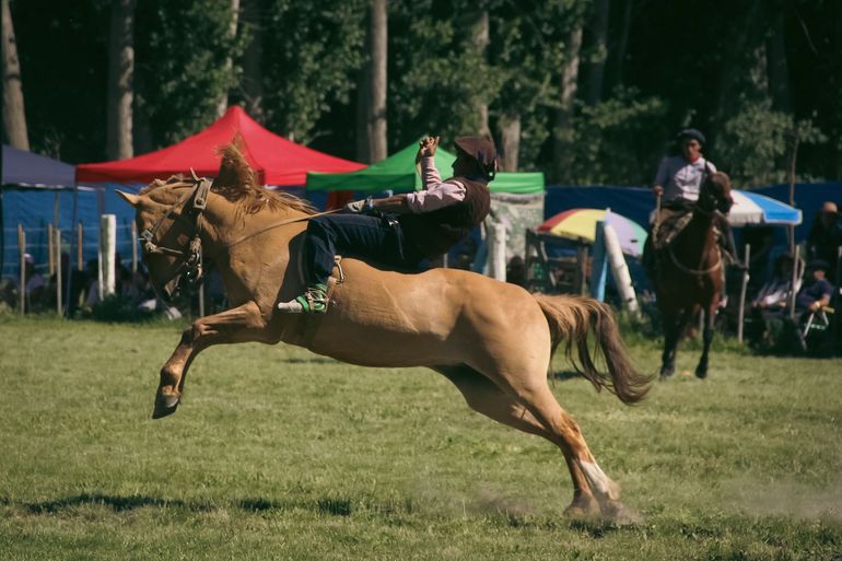 La jineteada fue la vedette de la Fiesta del Chivito. La jineteada fue la vedette de la Fiesta del Chivito.