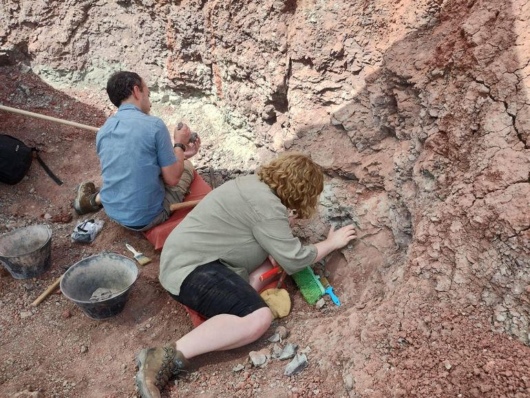 Carmel McCarthy, estudiante de Geología en la Universidad de Birkbeck, y Mattew Porter, paleobiólogo y curador del Departamento de Ciencias del Museo de Historia Natural en Londres, Inglaterra, durante las tareas de excavación en el yacimiento Babilonia.