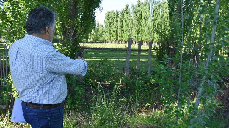 Mellado muestra que no hay rastros de matayuyo ni de ningún herbicida.