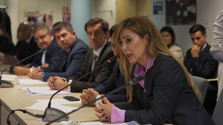 Flavia Royon, ex funcionaria de Sergio Massa, ahora conduce Minería en el gobierno de Javier Milei. Flavia Royon, ex funcionaria de Sergio Massa, ahora conduce Minería en el gobierno de Javier Milei. 