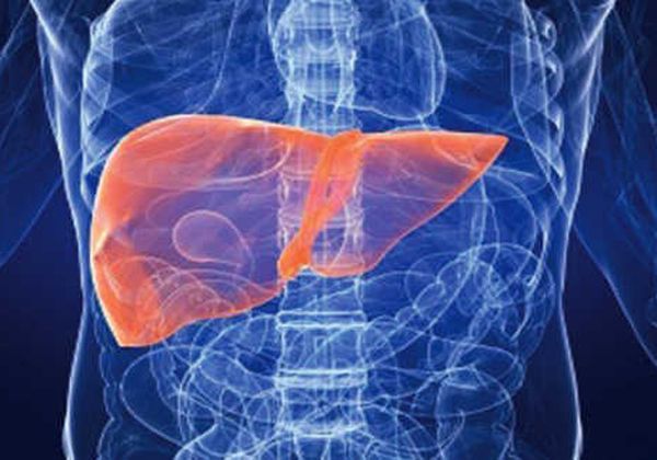 El hígado cumple una función calve y hay verduras que ayudan a mantenerlo limpio. El hígado cumple una función calve y hay verduras que ayudan a mantenerlo limpio.