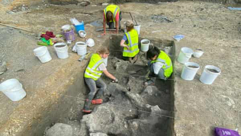 Descubren cinco mamuts en perfecto estado de conservación