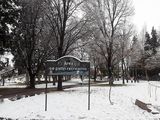Así se vio Cipolletti tras una nevada anterior.