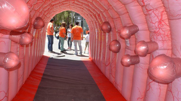 Con un colon gigante, concientizaron sobre enfermedades