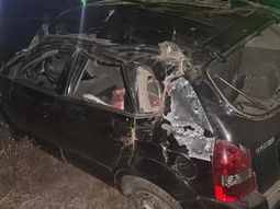 ruta 40: sufrio un fuerte vuelco y el auto quedo destrozado tras intentar esquivar a un zorro ruta 40: sufrio un fuerte vuelco y el auto quedo destrozado tras intentar esquivar a un zorro