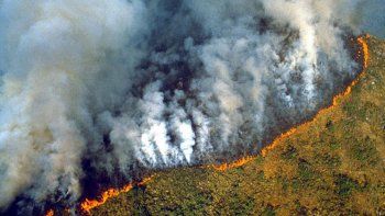 devastador: un impresionante incendio consume el amazonas devastador: un impresionante incendio consume el amazonas